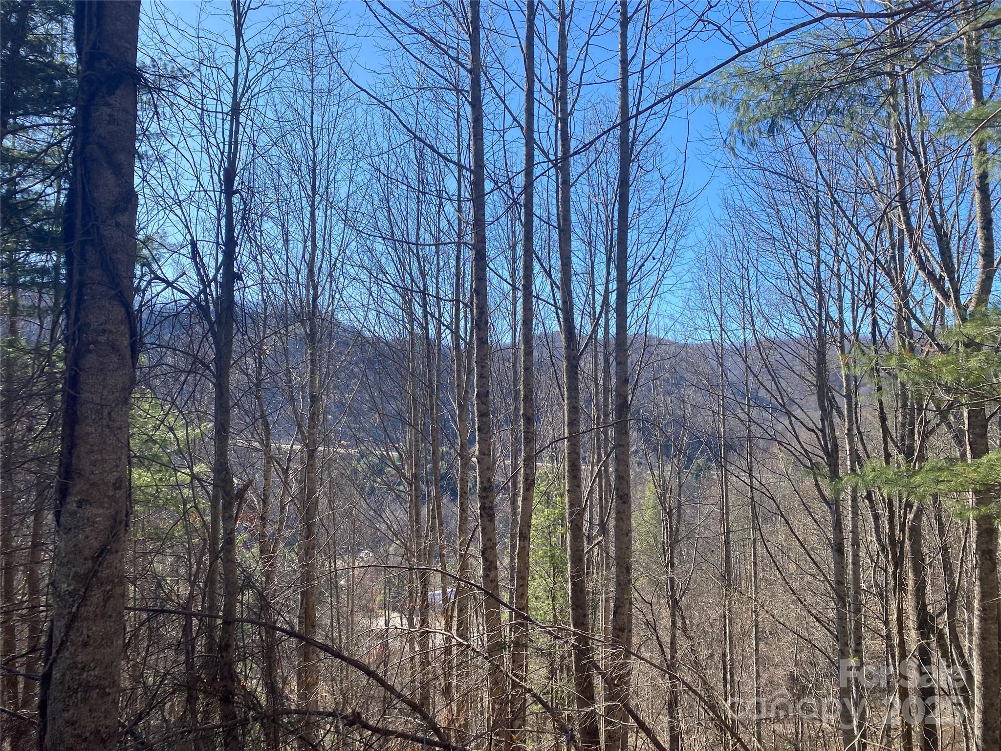 99999 Us 23 Highway Mars Hill NC 28754