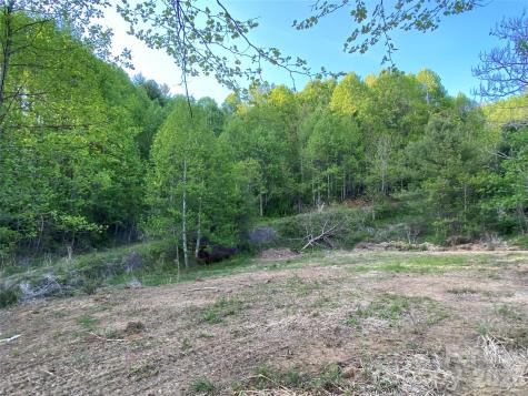 99999 Us 23 Highway Mars Hill NC 28754
