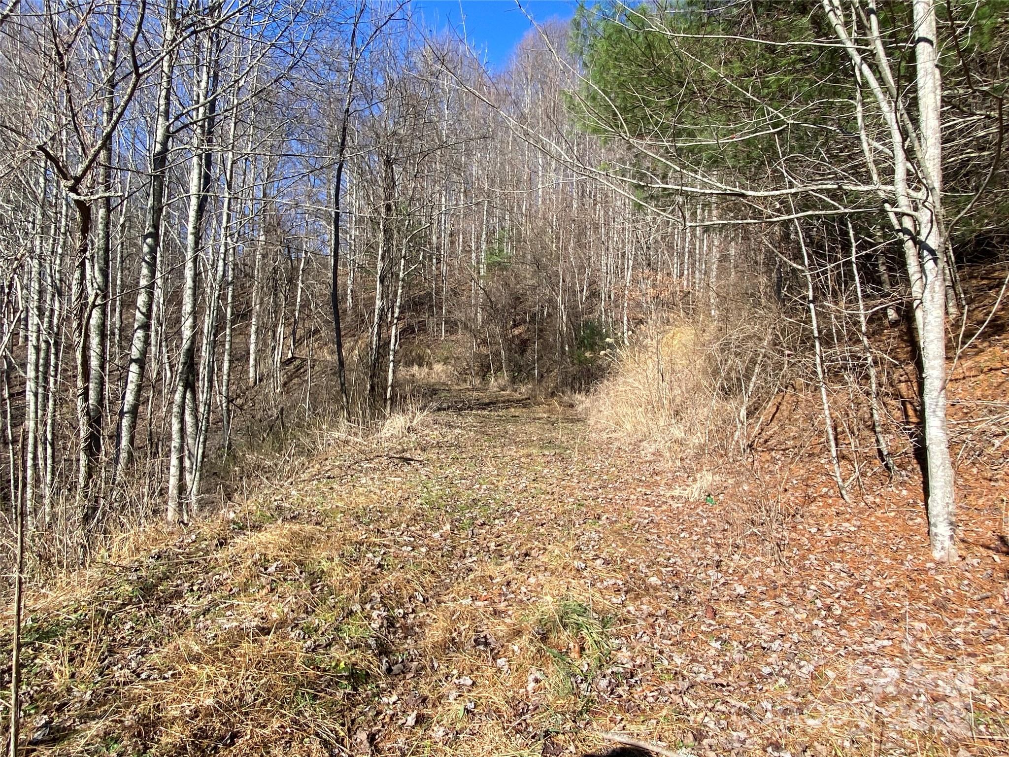 99999 Us 23 Highway Mars Hill NC 28754