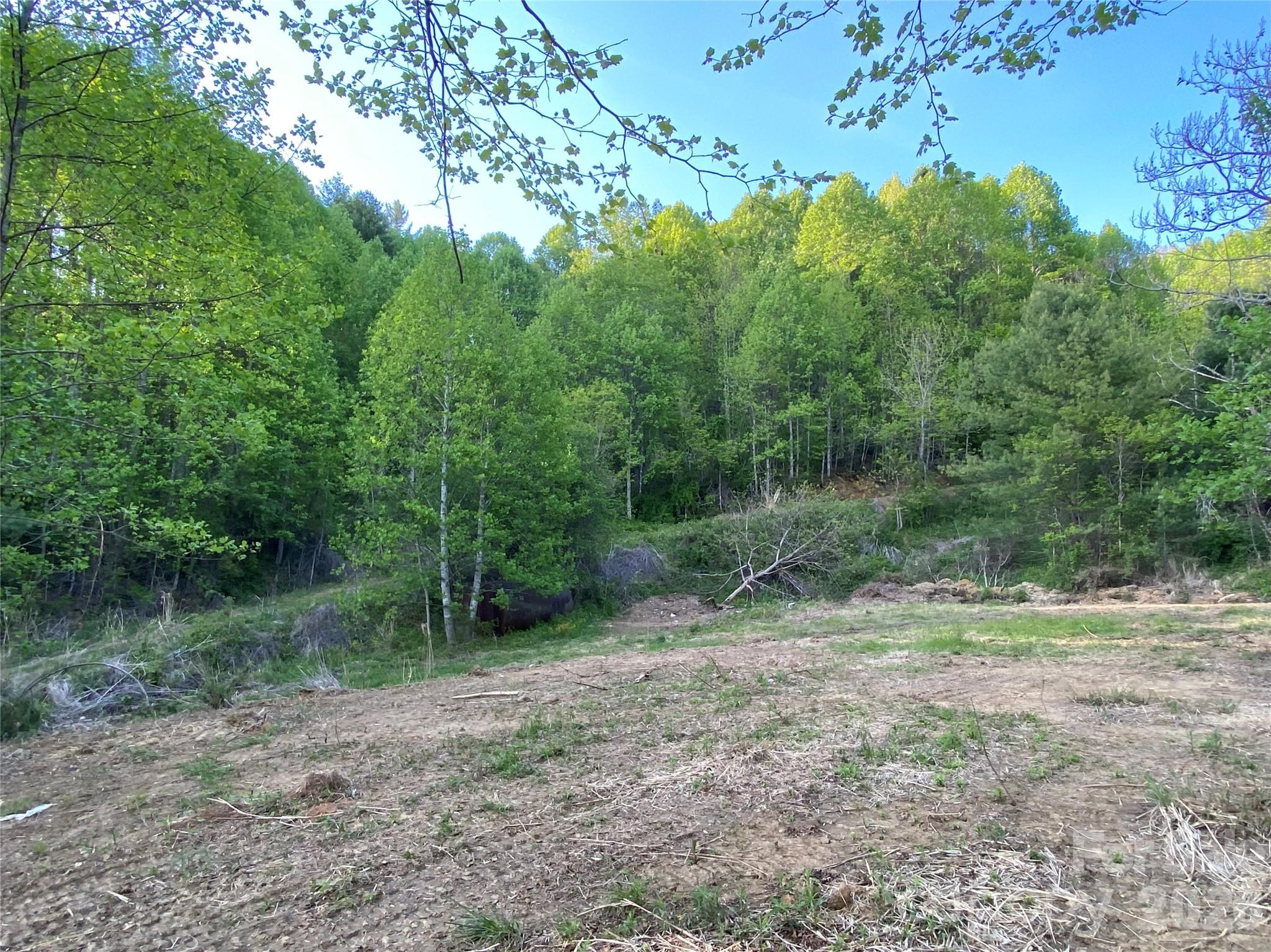 99999 Us 23 Highway Mars Hill NC 28754