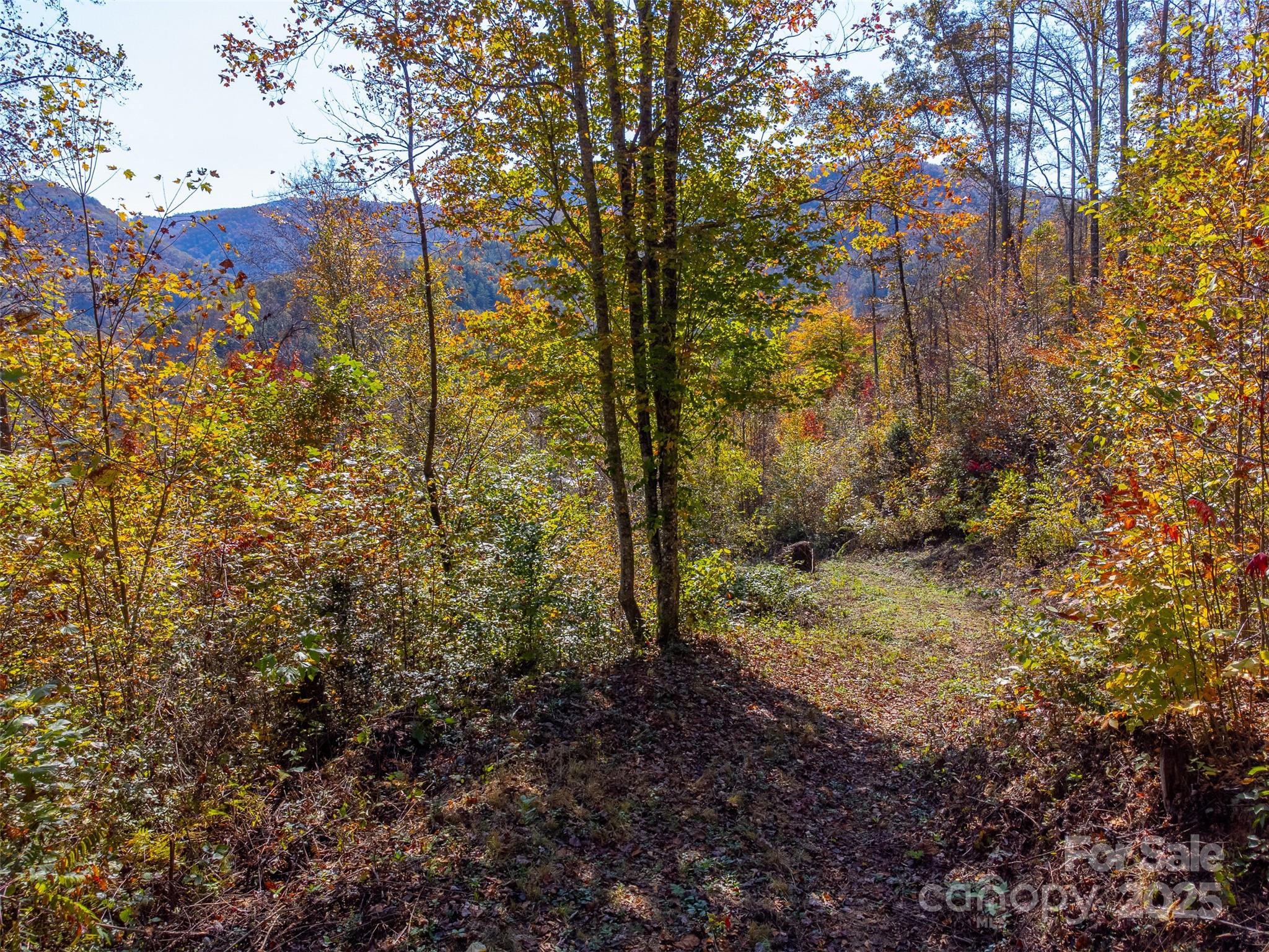 6918 Us 441 Highway S Sylva NC 28779