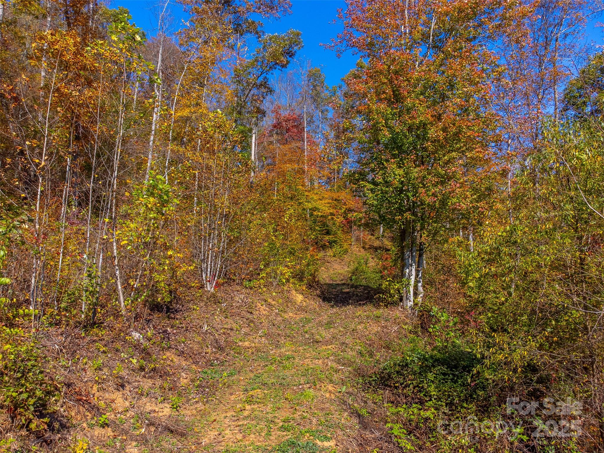6918 Us 441 Highway S Sylva NC 28779
