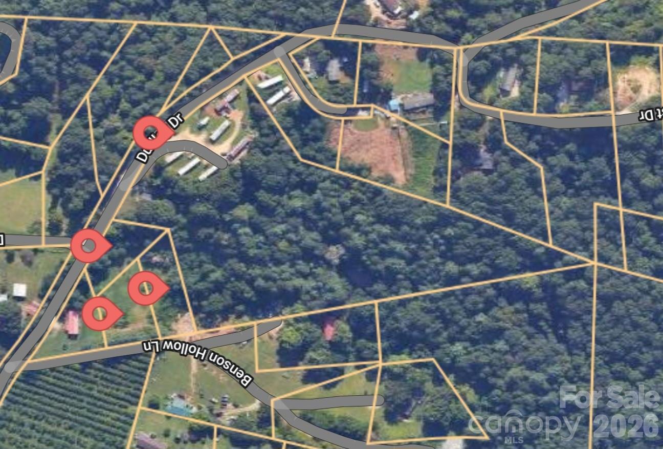 160 & 196 Dudley Drive Flat Rock NC 28731