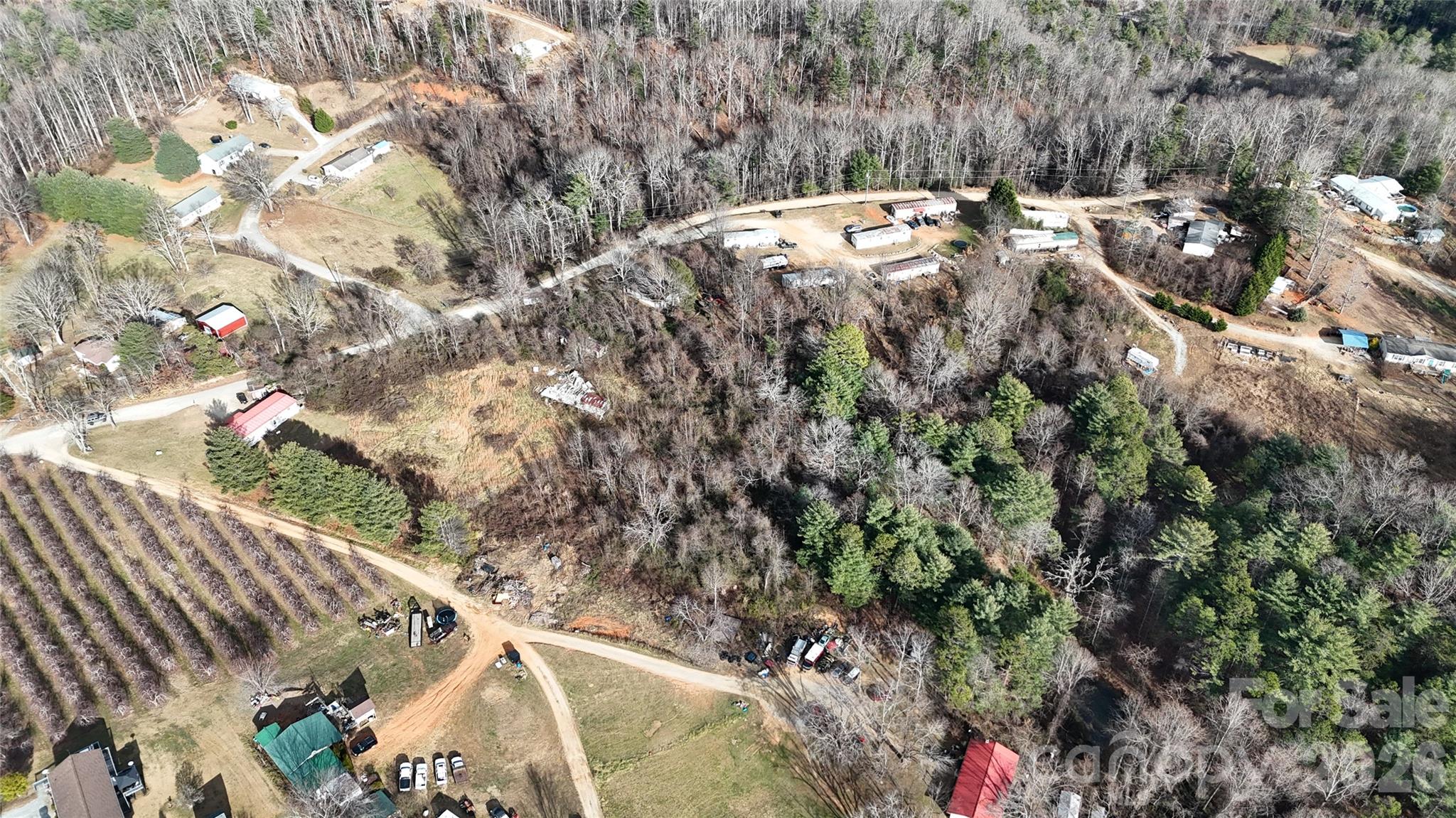 160 & 196 Dudley Drive Flat Rock NC 28731