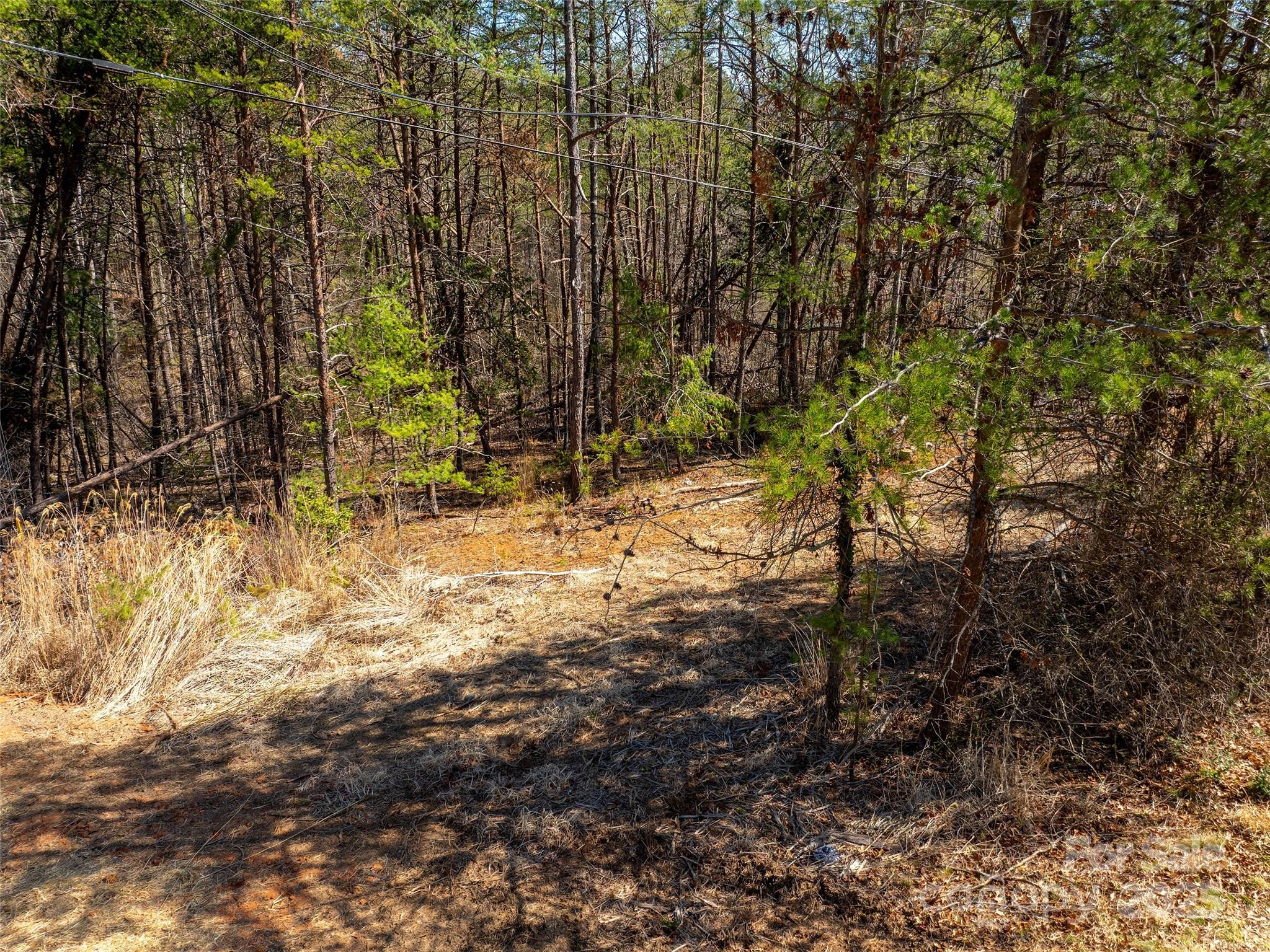 85 Union Chapel Road Weaverville NC 28787