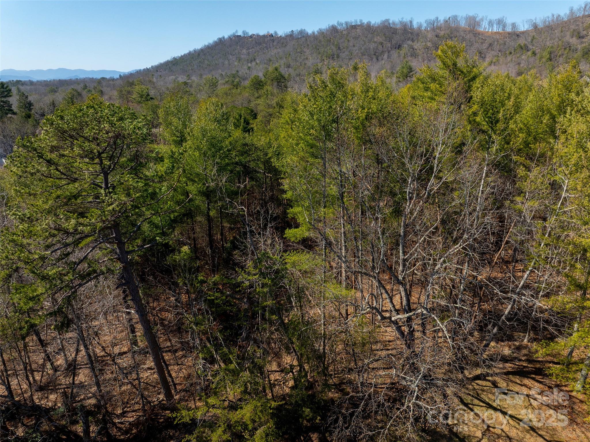 85 Union Chapel Road Weaverville NC 28787