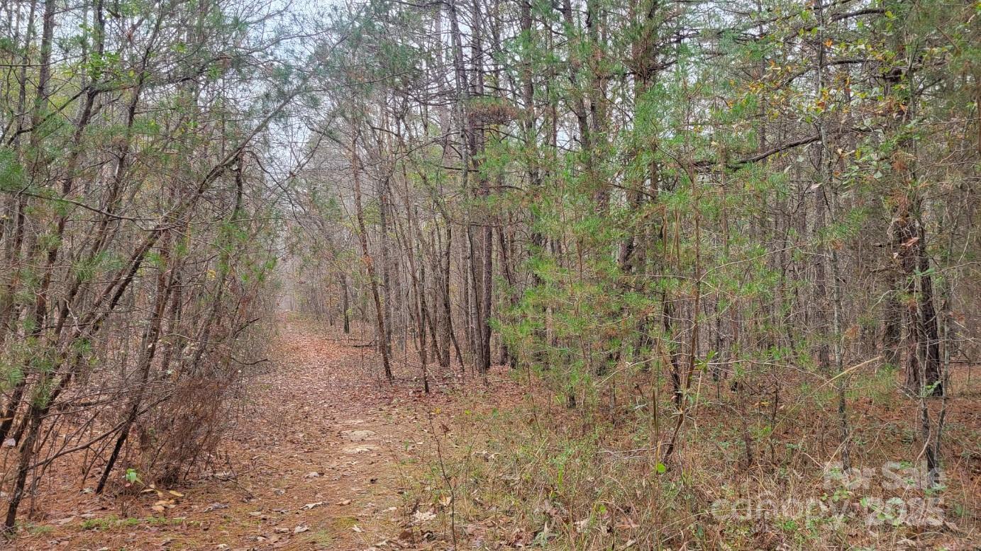 0000 Indian Creek Road Lincolnton NC 28092