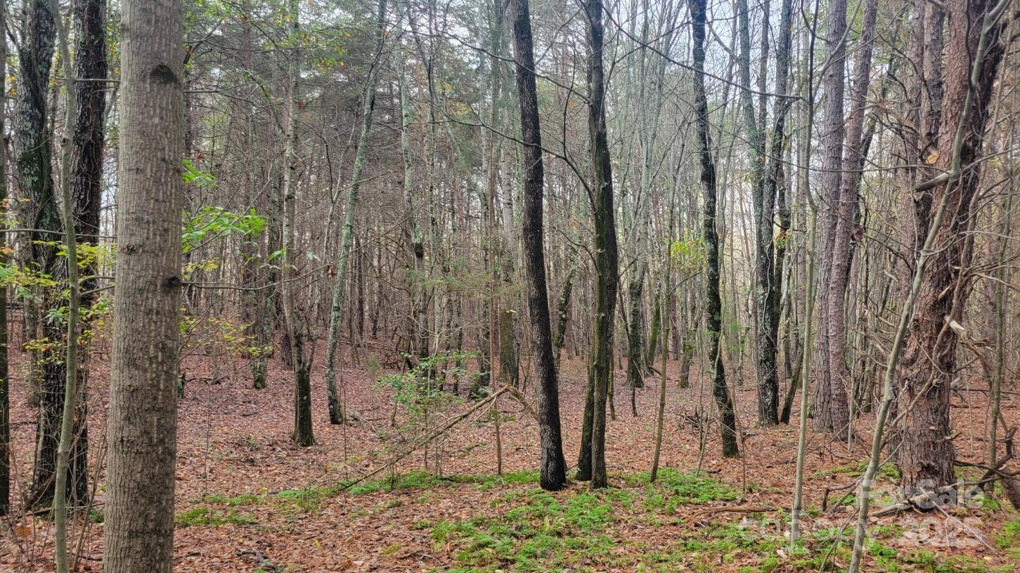 0000 Indian Creek Road Lincolnton NC 28092