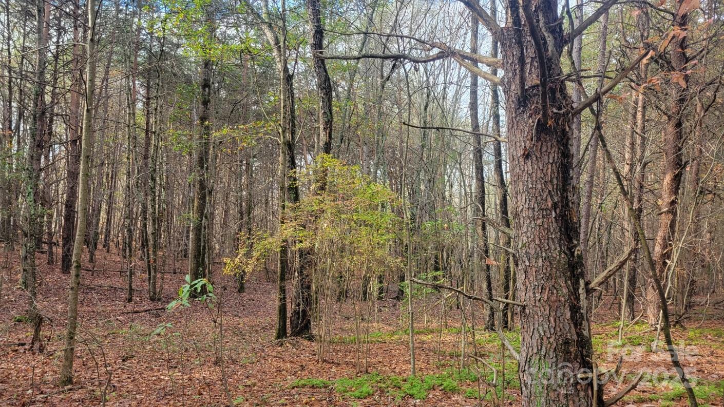 0000 Indian Creek Road Lincolnton NC 28092