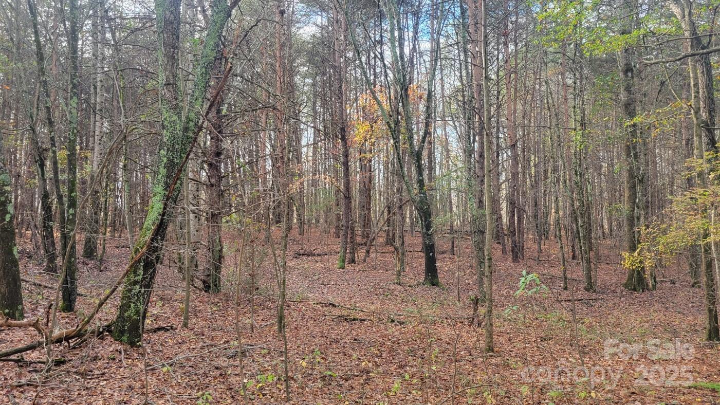 0000 Indian Creek Road Lincolnton NC 28092