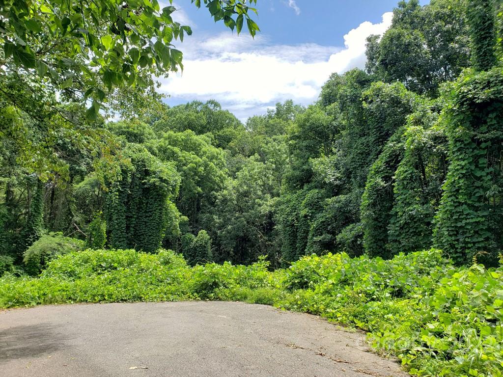 548 Caribou Road Asheville NC 28803