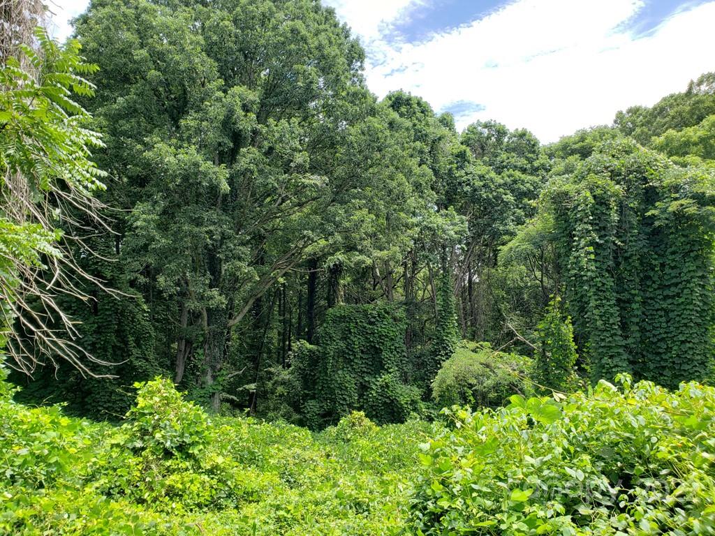 548 Caribou Road Asheville NC 28803