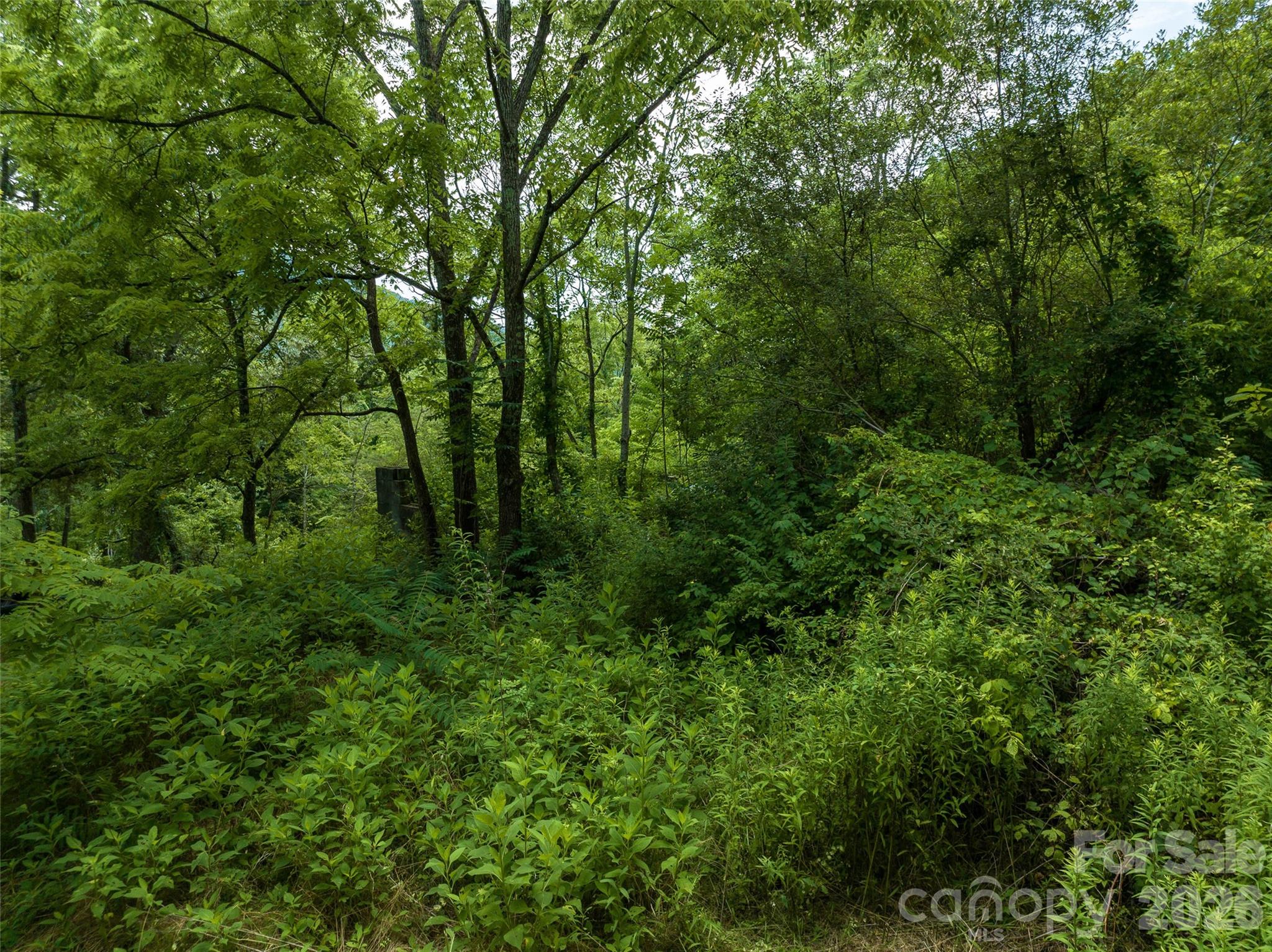 99999 Us 70 Highway Swannanoa NC 28778