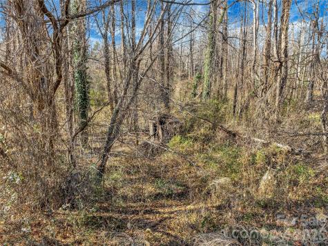 283 Ozone Drive Saluda NC 28773