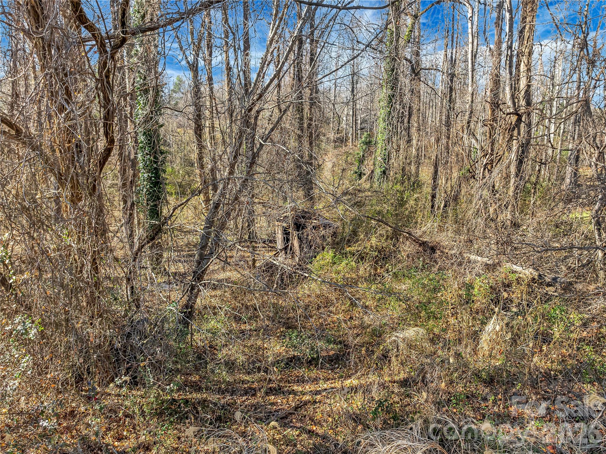 283 Ozone Drive Saluda NC 28773