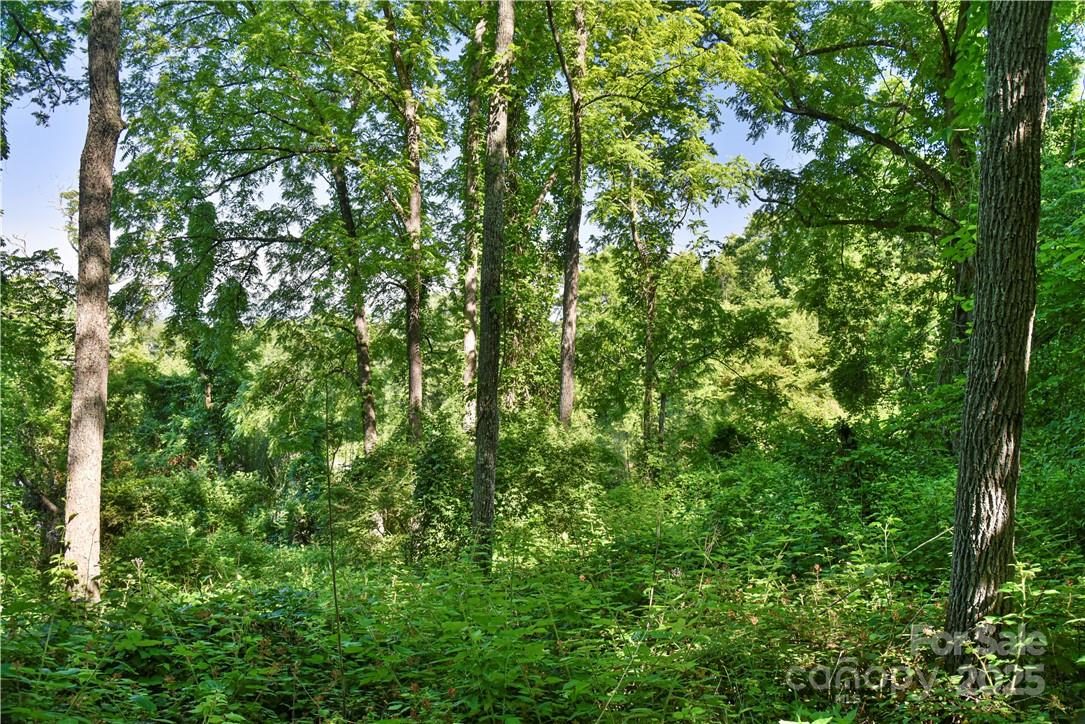 415 Weaverville Road Asheville NC 28804