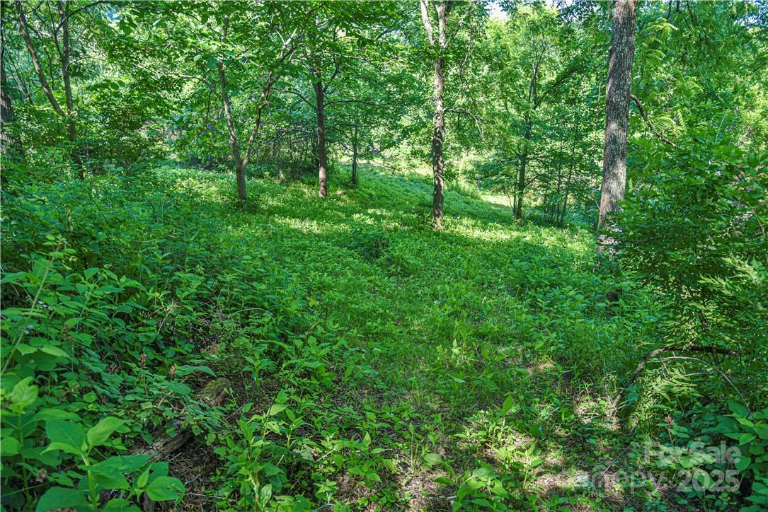 415 Weaverville Road Asheville NC 28804