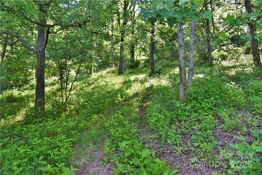 415 Weaverville Road Asheville NC 28804