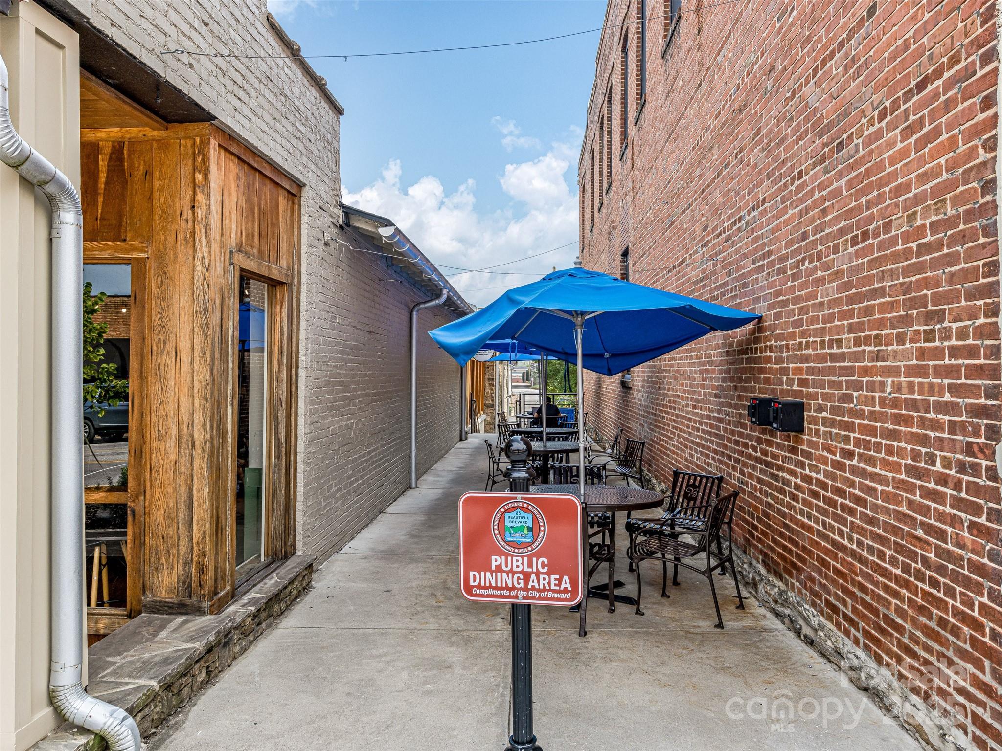 36 & 44 E Main Street Brevard NC 28712