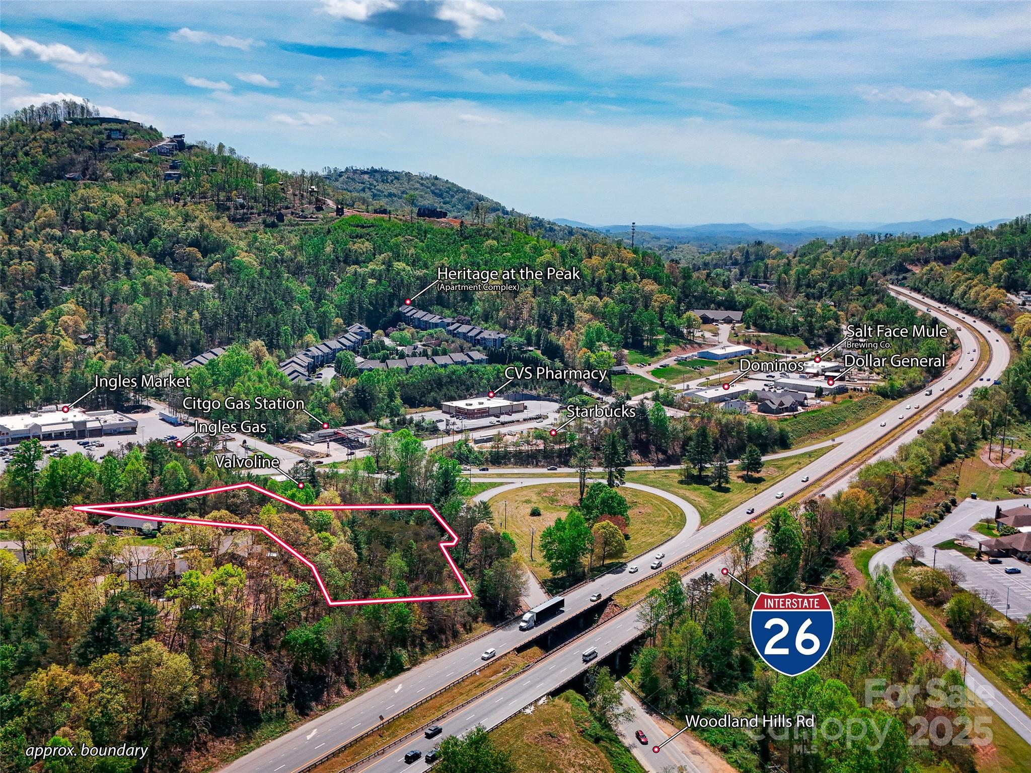 99999 Blueberry Hill Road Woodfin NC 28804