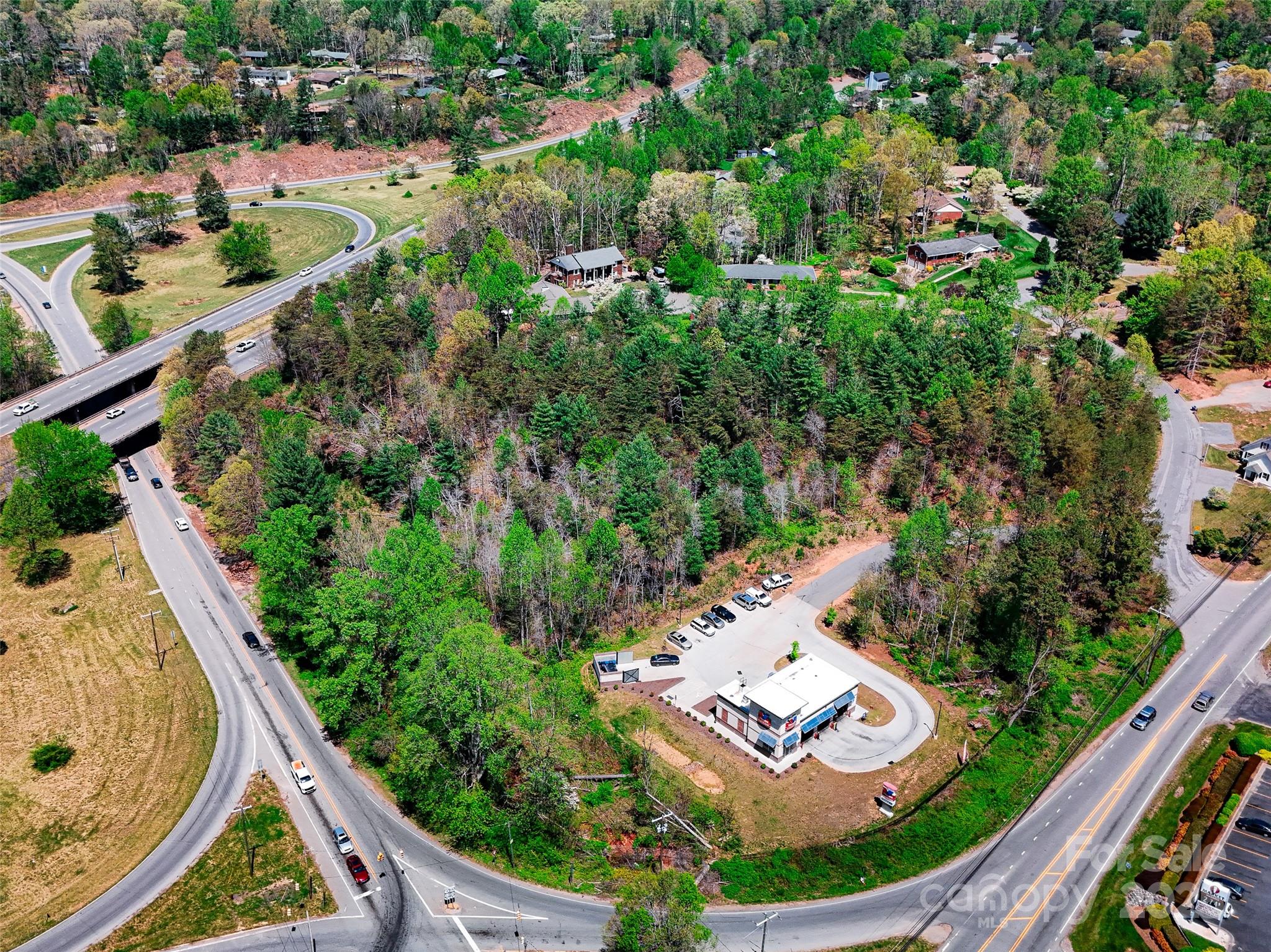 99999 Blueberry Hill Road Woodfin NC 28804