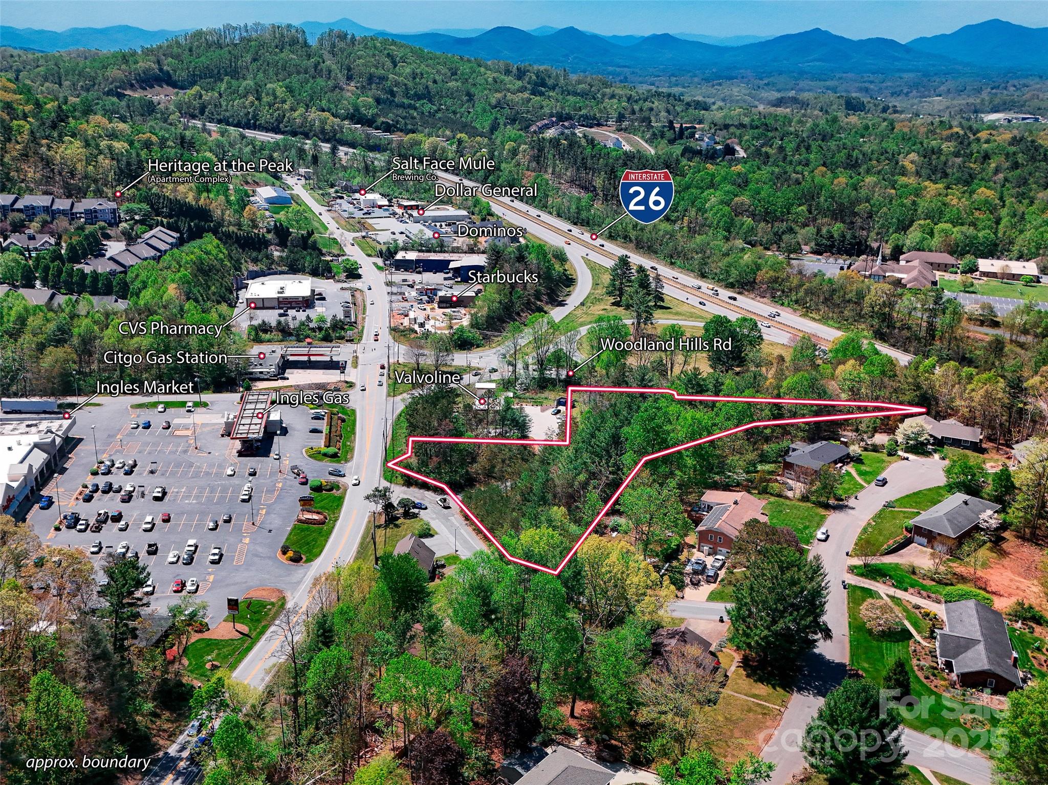 99999 Blueberry Hill Road Woodfin NC 28804