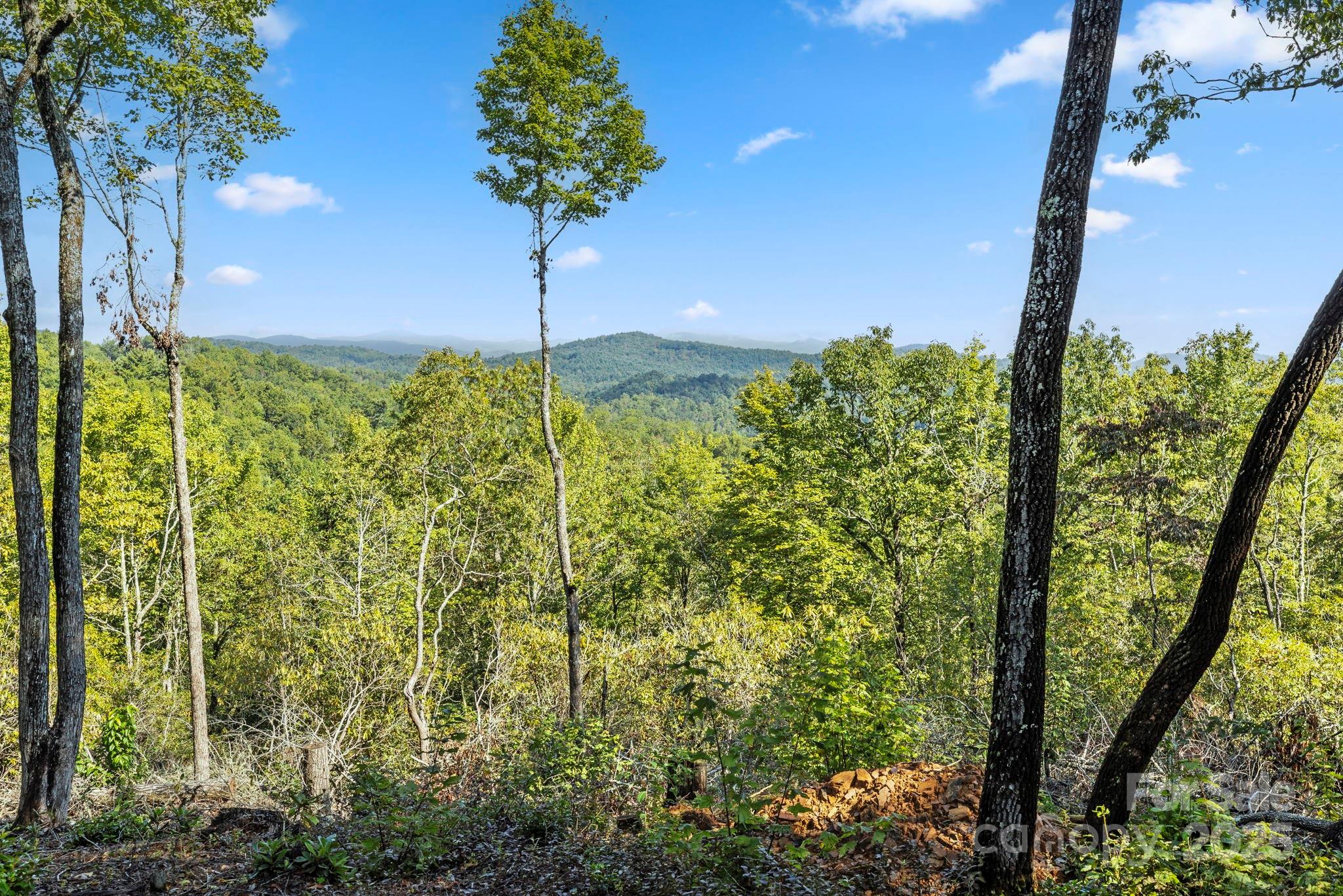 11763 Rosman Highway Lake Toxaway NC 28747