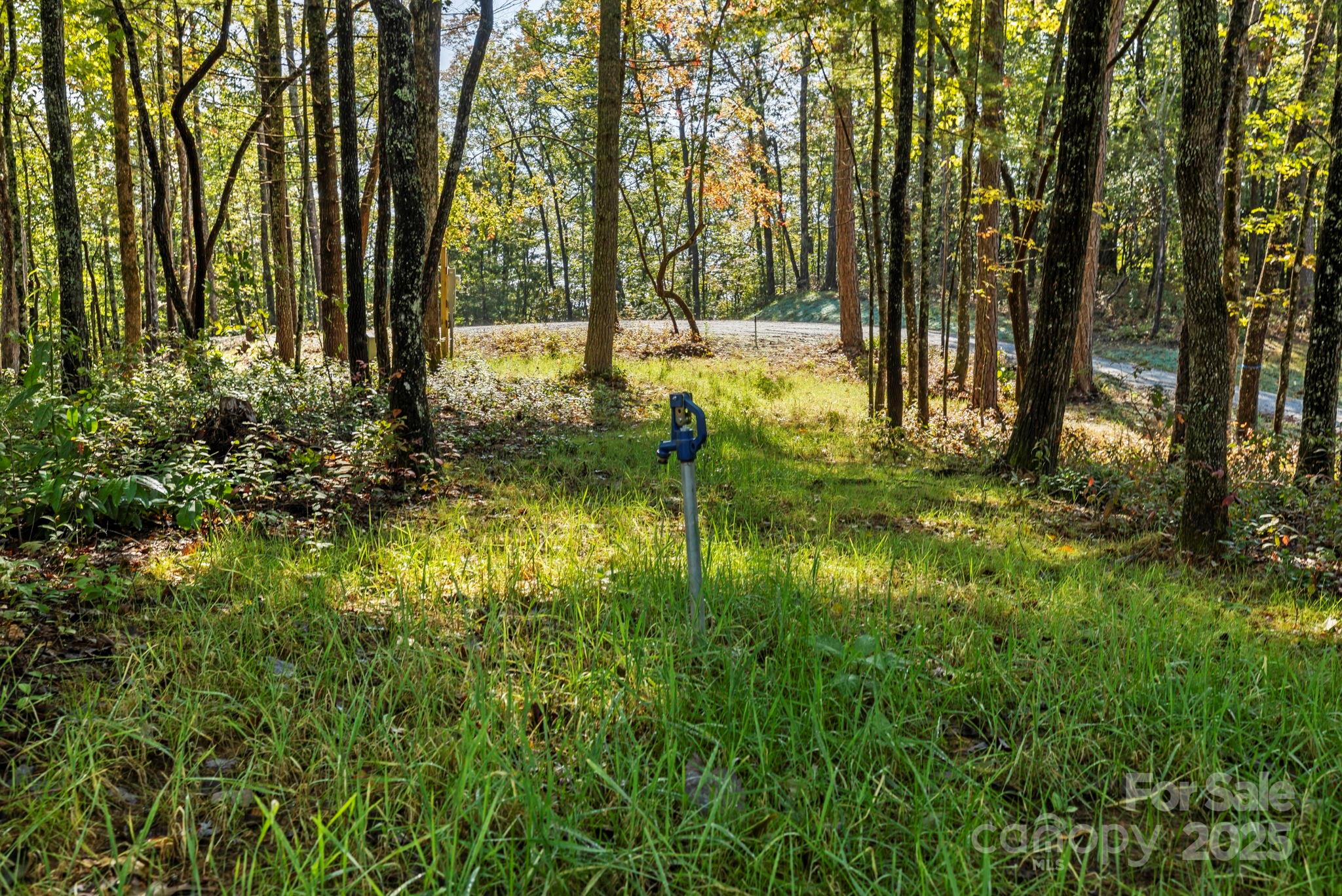 11763 Rosman Highway Lake Toxaway NC 28747