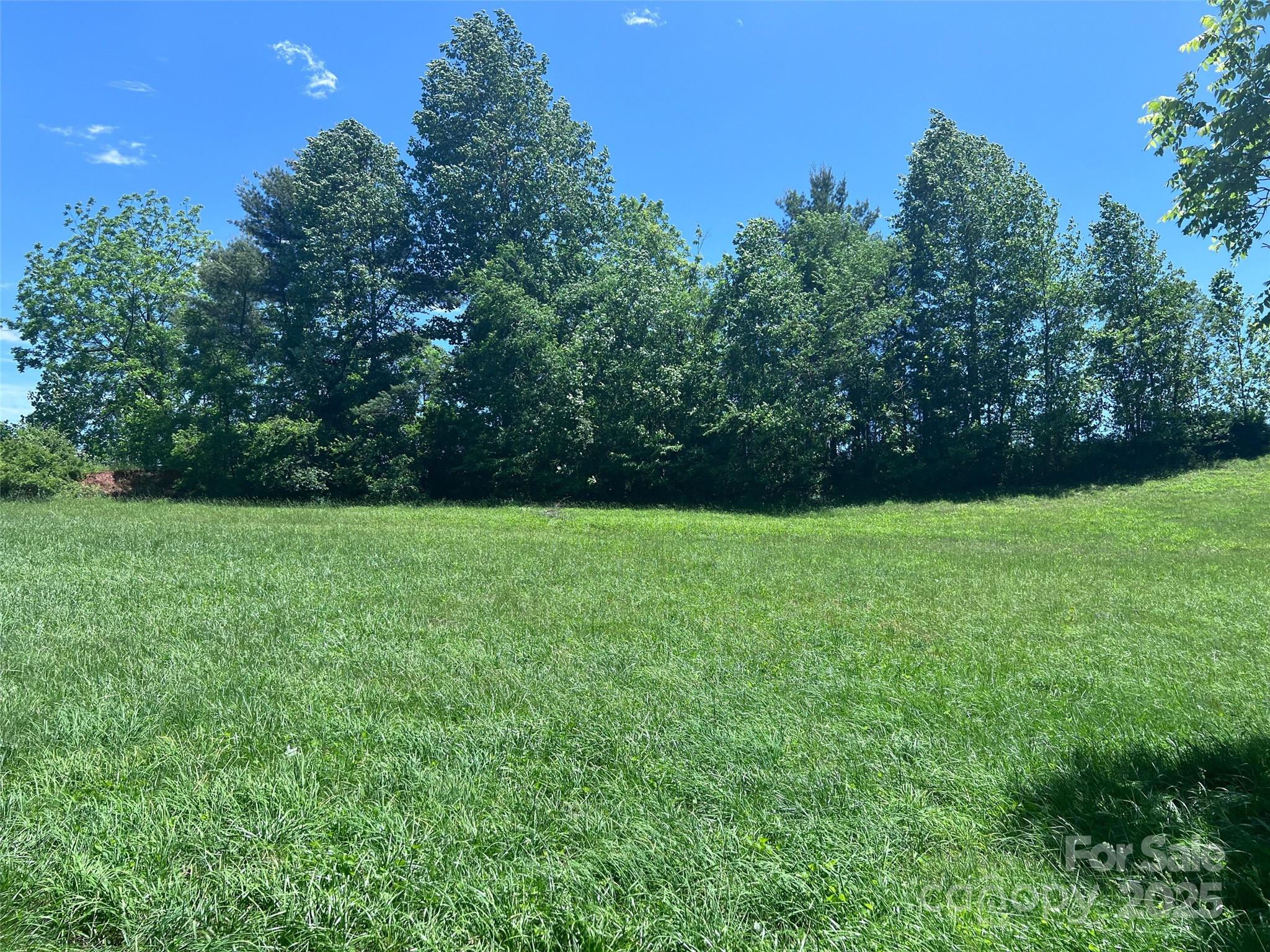 99999 Goodwin Lane Brevard NC 28712