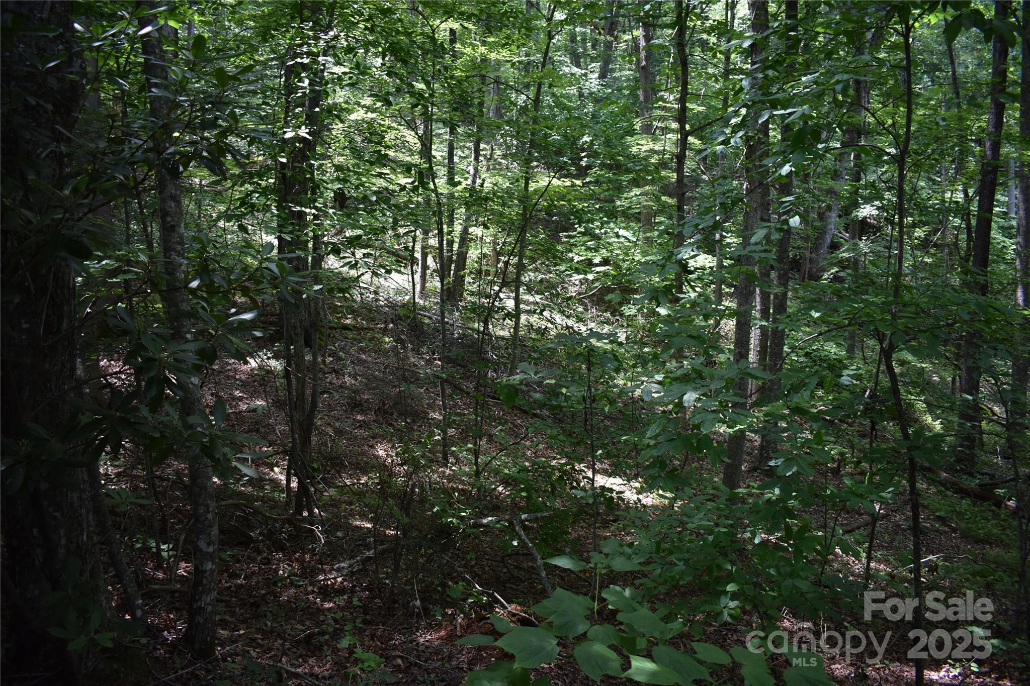 50 Firefly Springs Lane Candler NC 28715