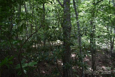50 Firefly Springs Lane Candler NC 28715
