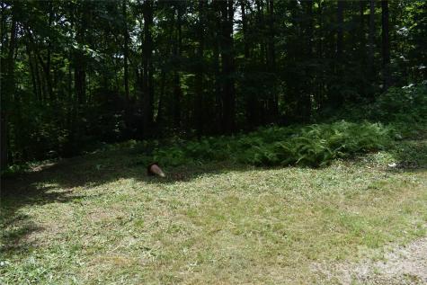 50 Firefly Springs Lane Candler NC 28715