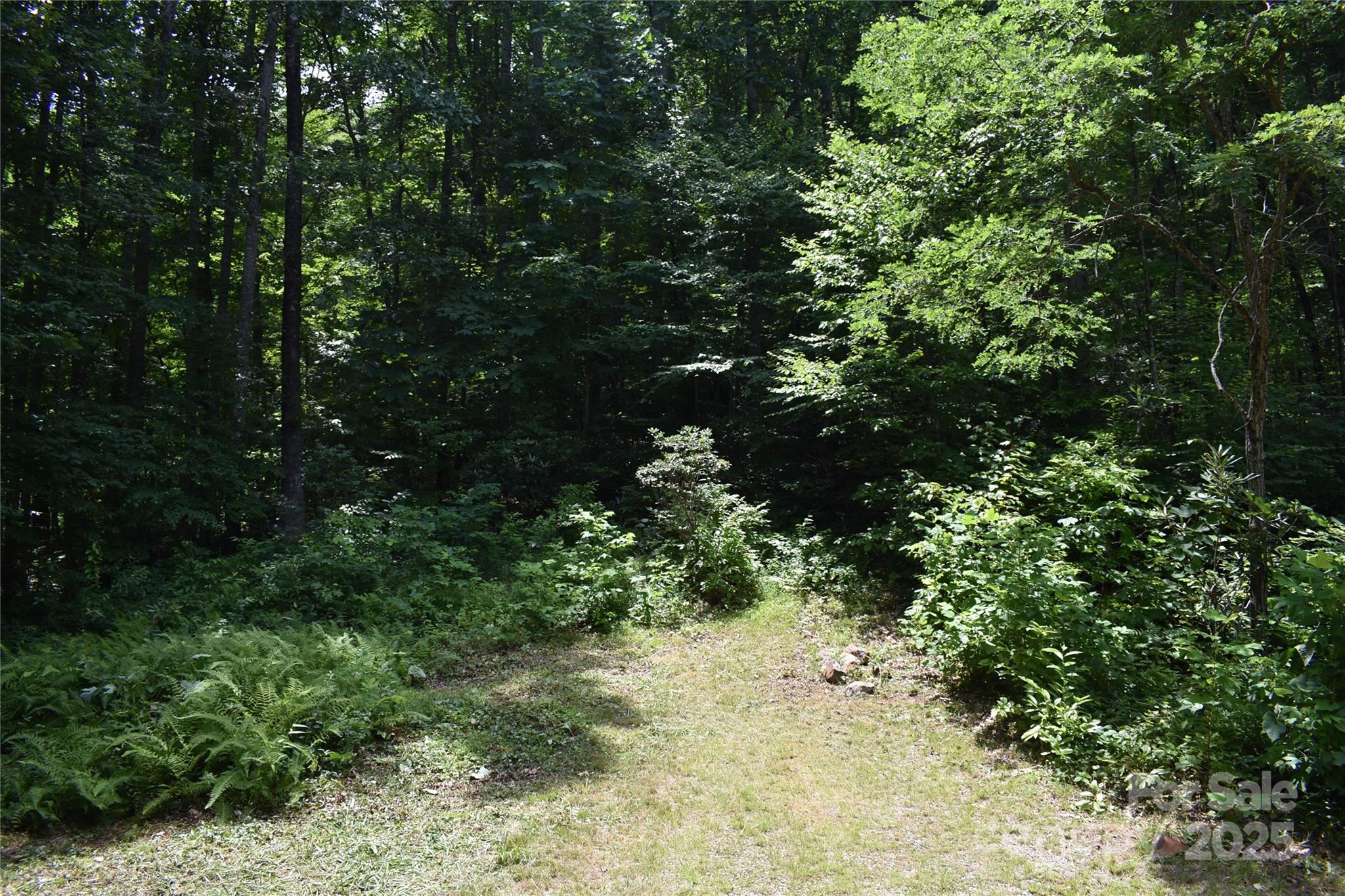 50 Firefly Springs Lane Candler NC 28715