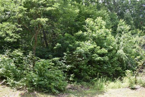 50 Firefly Springs Lane Candler NC 28715