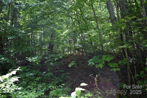 50 Firefly Springs Lane Candler NC 28715