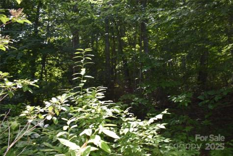 50 Firefly Springs Lane Candler NC 28715