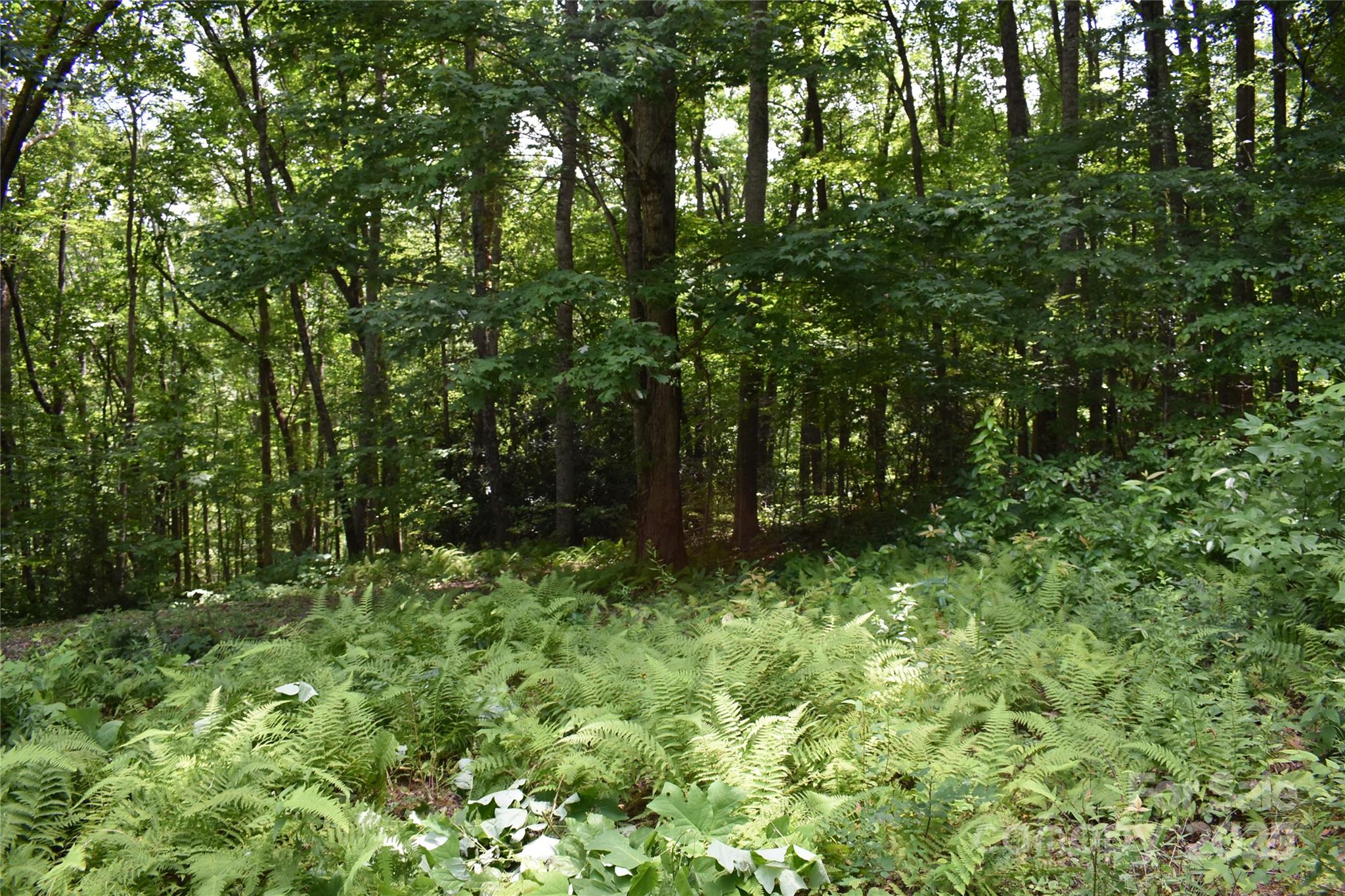 50 Firefly Springs Lane Candler NC 28715