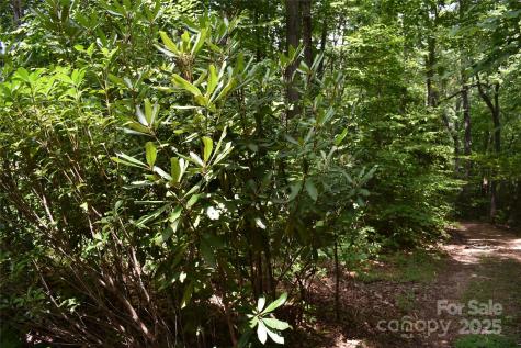 50 Firefly Springs Lane Candler NC 28715