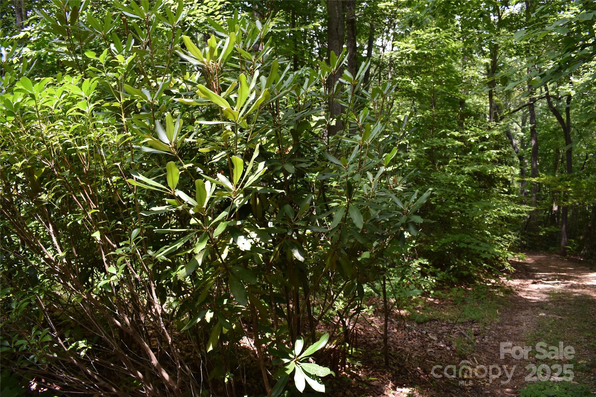 50 Firefly Springs Lane Candler NC 28715
