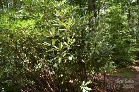 50 Firefly Springs Lane Candler NC 28715