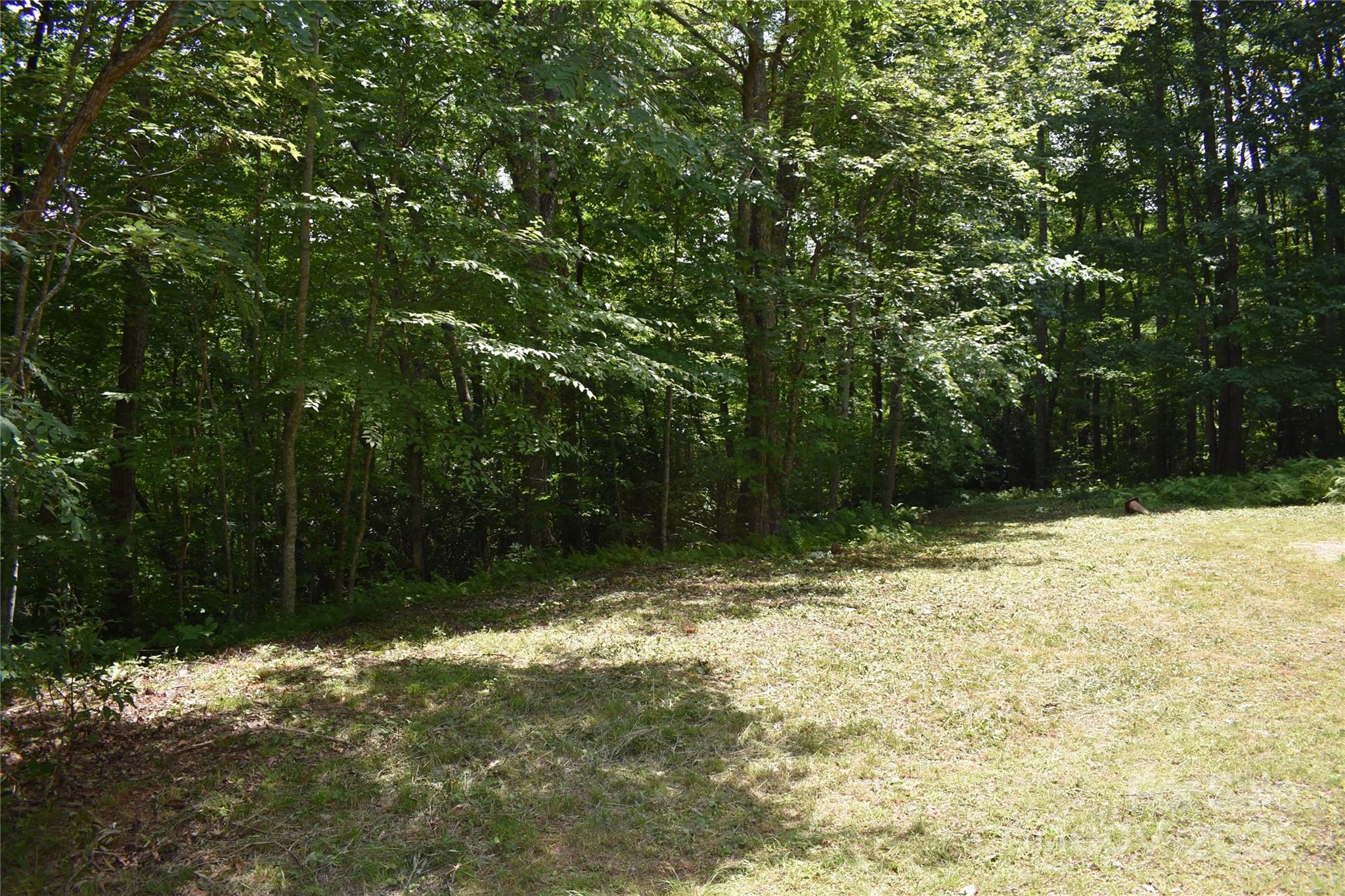 50 Firefly Springs Lane Candler NC 28715