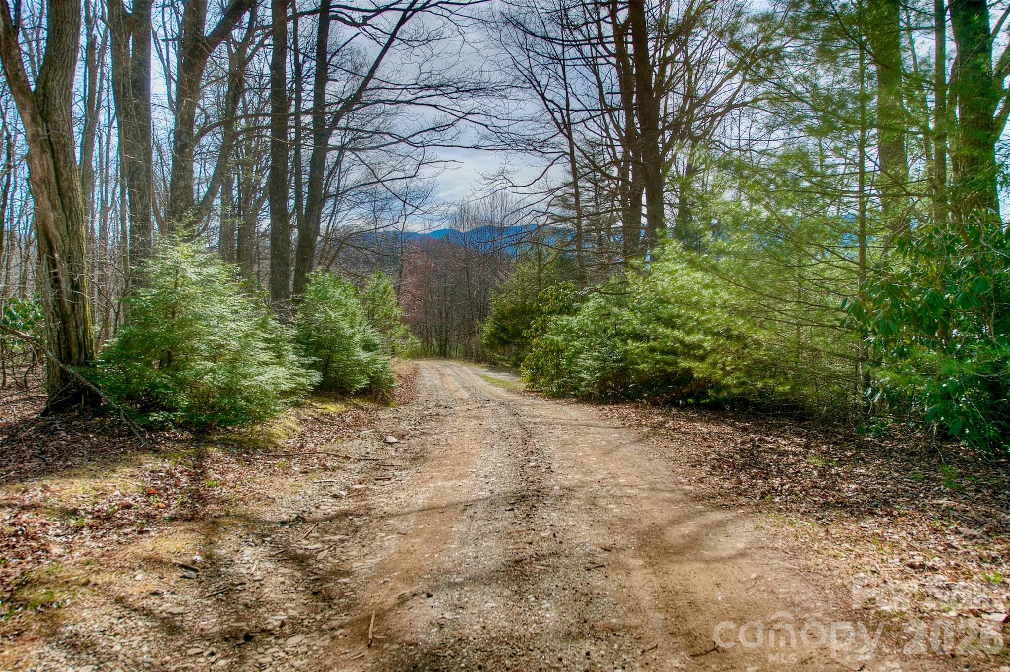 65 Blue Ridge Gem Mine Road Little Switzerland NC 28777