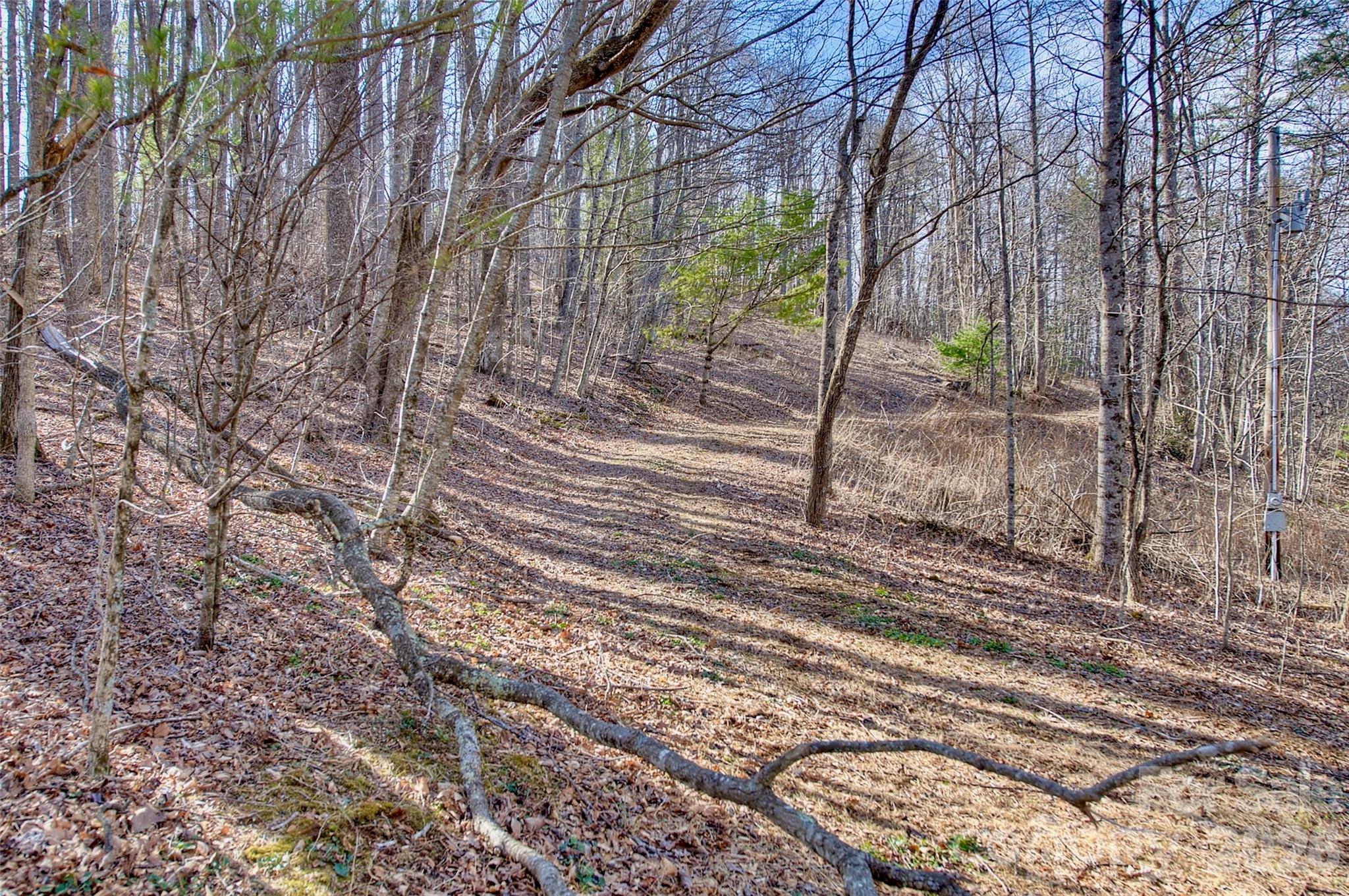 65 Blue Ridge Gem Mine Road Little Switzerland NC 28777