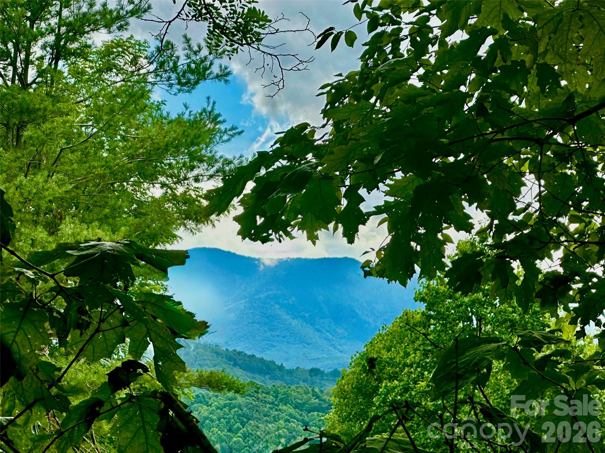65 Blue Ridge Gem Mine Road Little Switzerland NC 28777
