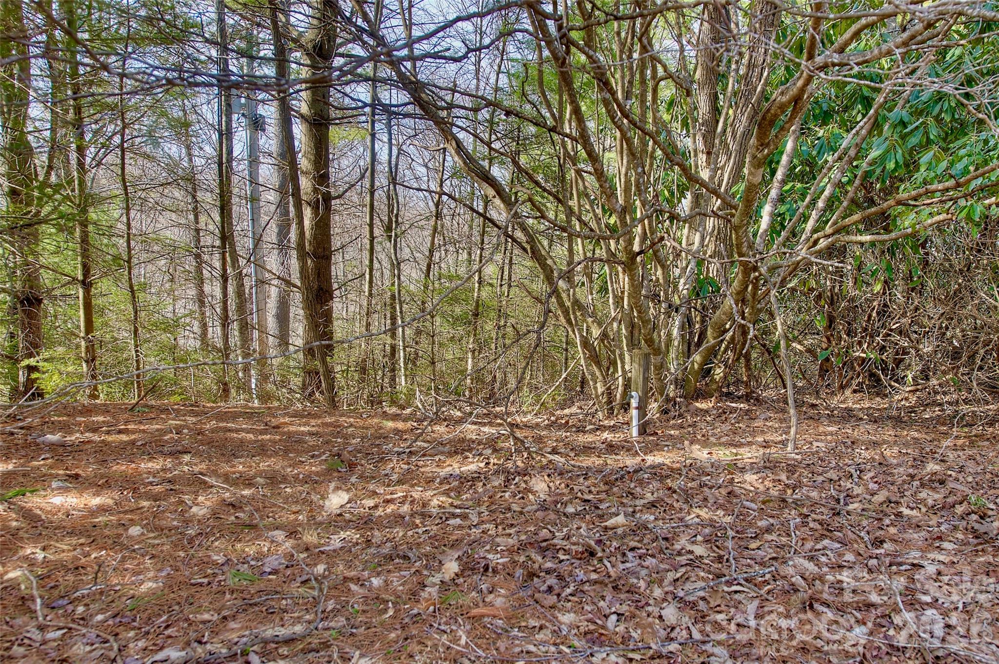 65 Blue Ridge Gem Mine Road Little Switzerland NC 28777