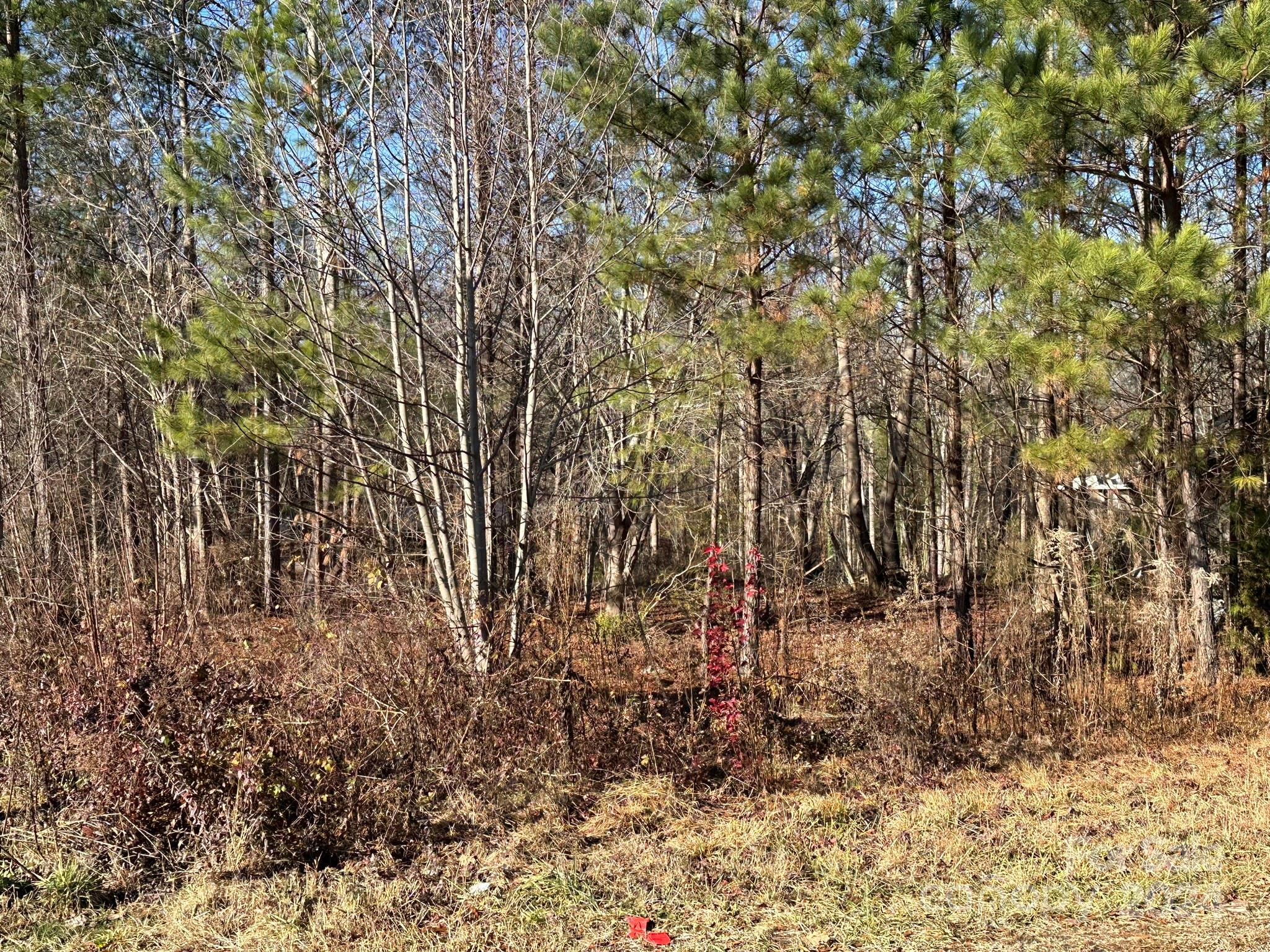 3023 Wilkesboro Highway Statesville NC 28625