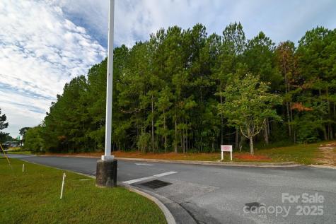 203 N Van Lingle Mungo Boulevard Pageland SC 29728