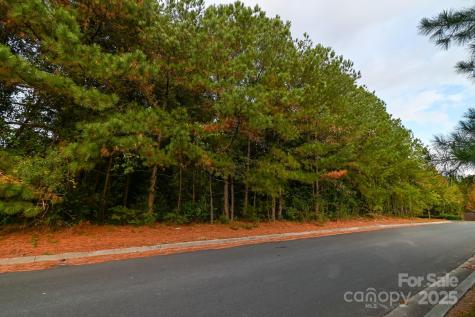203 N Van Lingle Mungo Boulevard Pageland SC 29728