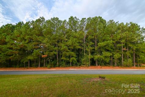 203 N Van Lingle Mungo Boulevard Pageland SC 29728