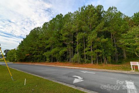 203 N Van Lingle Mungo Boulevard Pageland SC 29728
